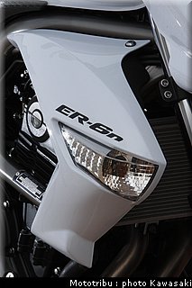 kawasaki_er6n_2009_0091.jpg