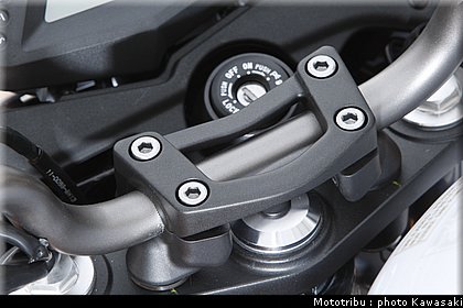 kawasaki_er6n_2009_0095.jpg