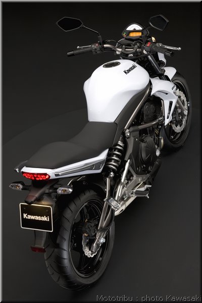 kawasaki_er6n_4_2009