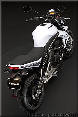 kawasaki_er6n_4_2009.jpg
