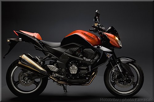 kawasaki_z1000_4_2009.jpg