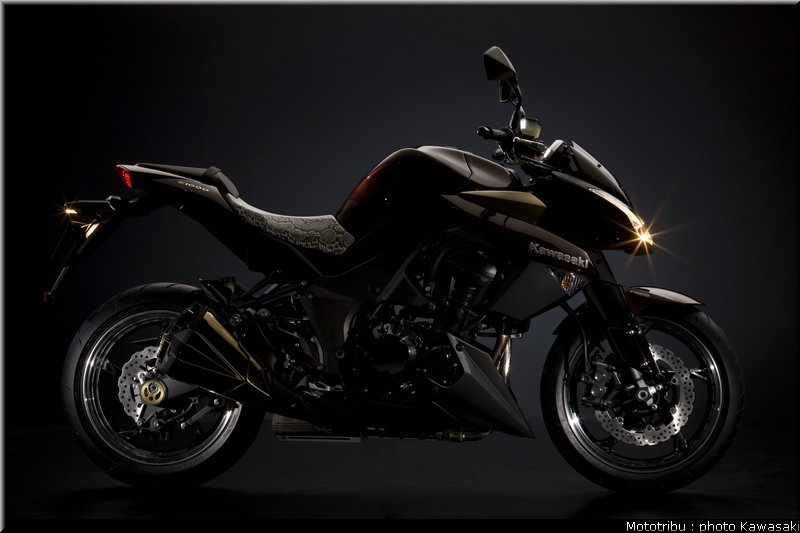 kawasaki_z1000_2010_3