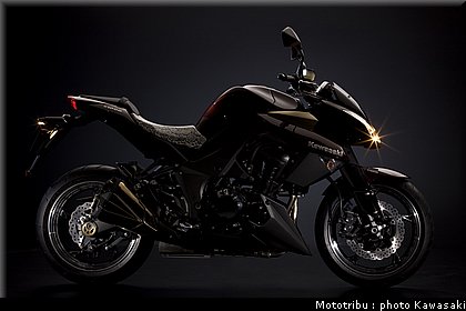 kawasaki_z1000_2010_3.jpg