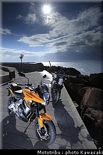 kawasaki_versys_2010_043.jpg