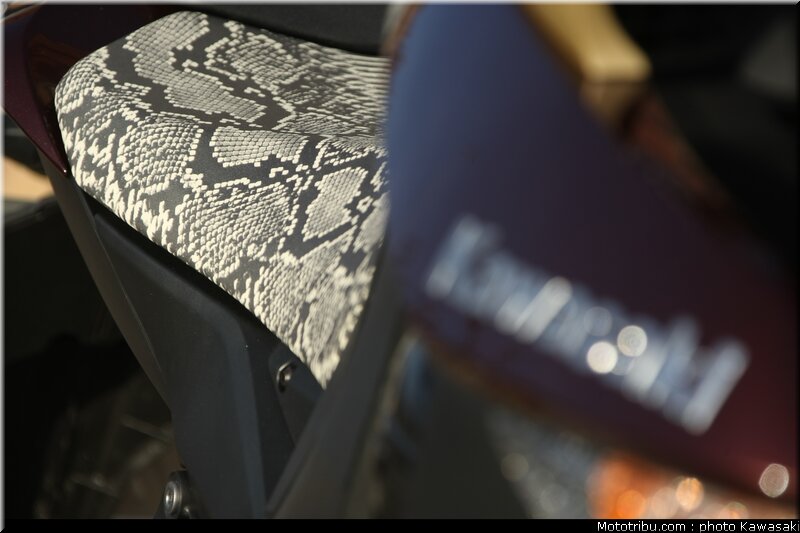 kawasaki_z1000_2010_0043