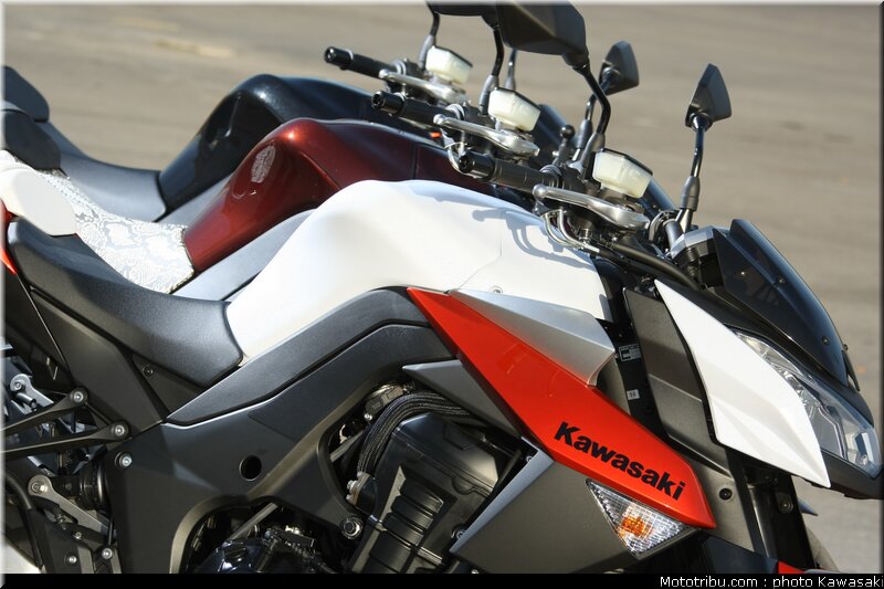kawasaki_z1000_2010_0044