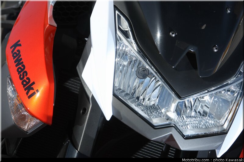 kawasaki_z1000_2010_0048