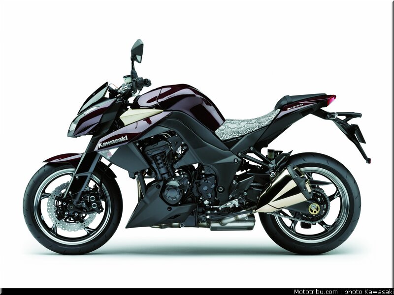 kawasaki_z1000_2010_0076