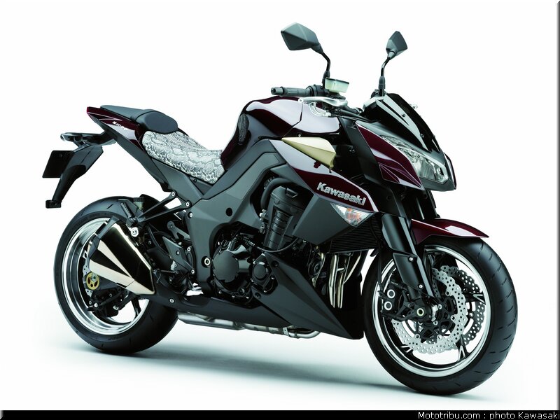 kawasaki_z1000_2010_0077