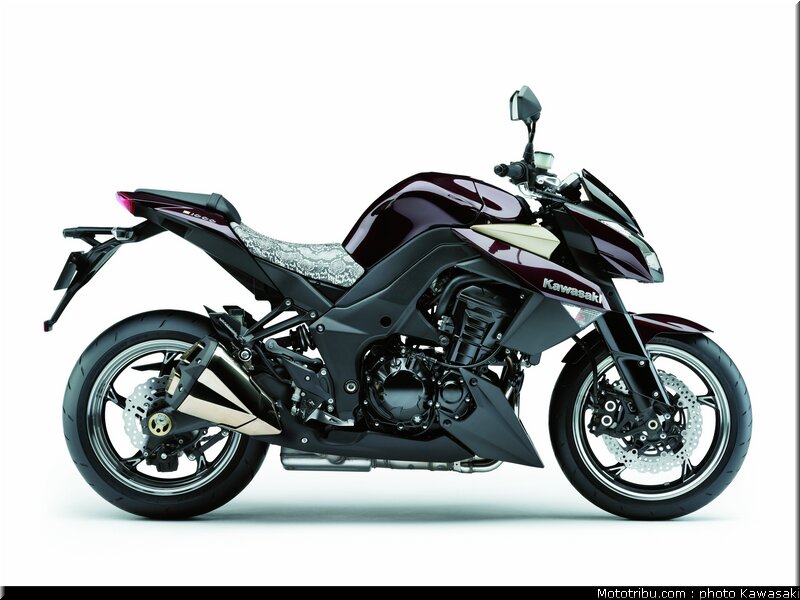 kawasaki_z1000_2010_0078