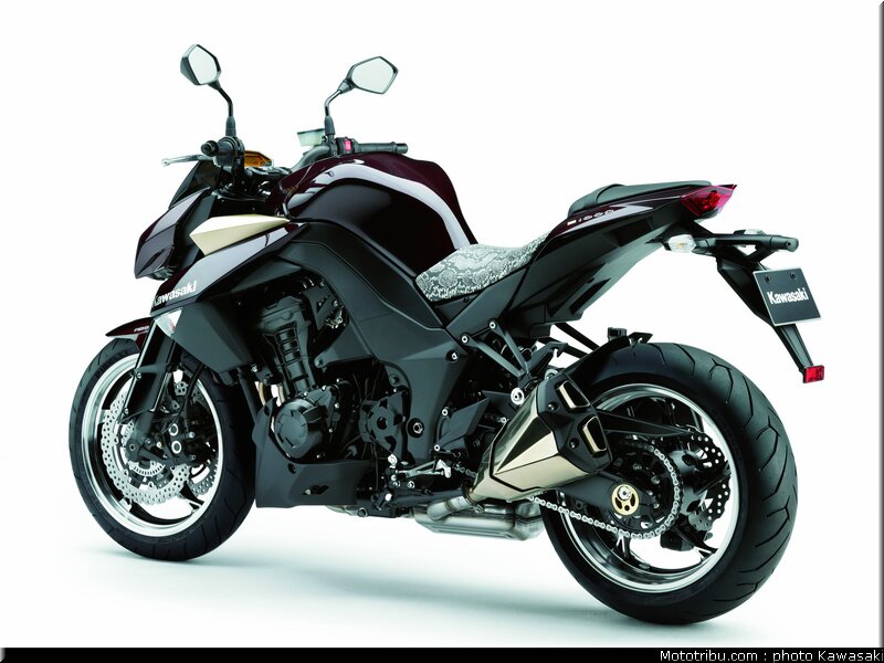 kawasaki_z1000_2010_0079