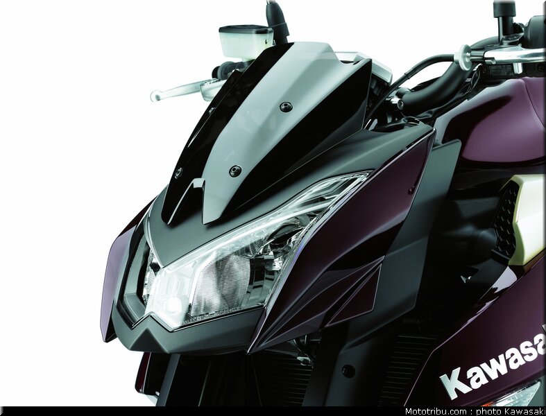 kawasaki_z1000_2010_0081