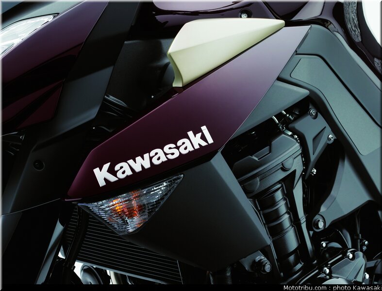 kawasaki_z1000_2010_0089