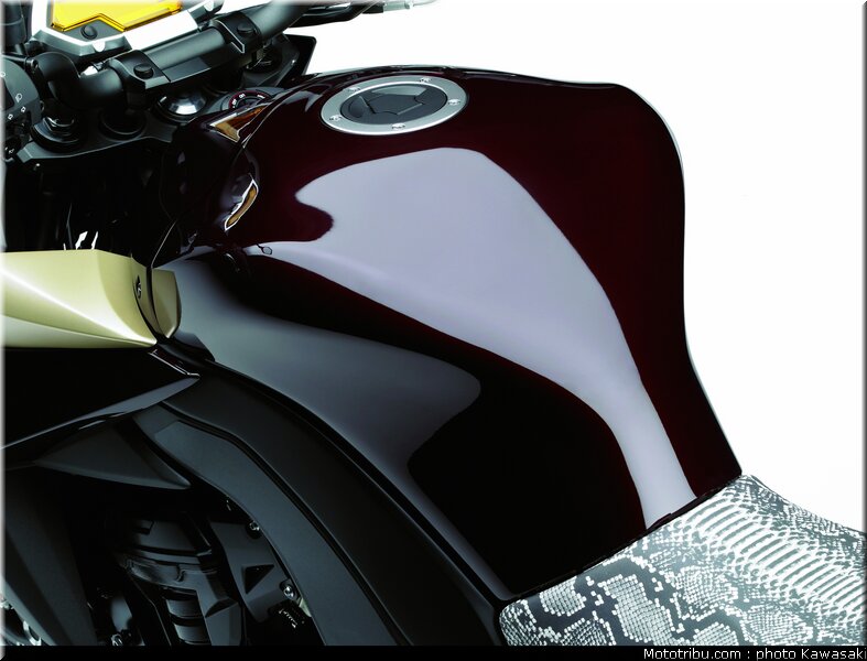 kawasaki_z1000_2010_0092