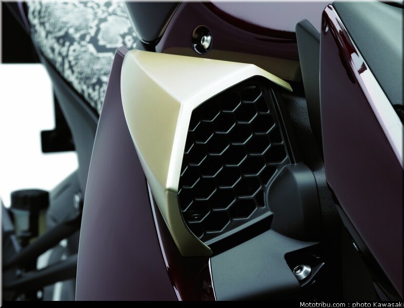 kawasaki_z1000_2010_0094