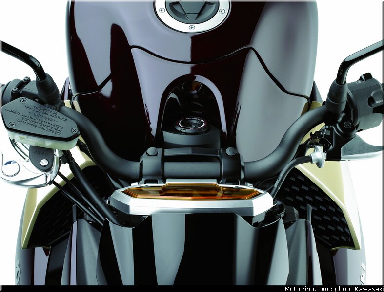 kawasaki_z1000_2010_0095