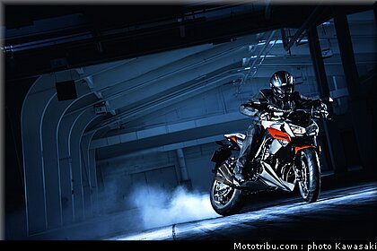kawasaki_z1000_2010_0001.jpg