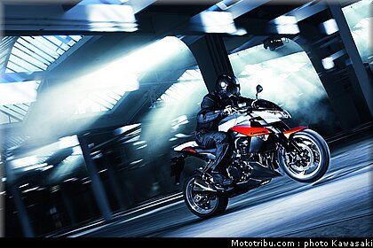 kawasaki_z1000_2010_0003.jpg