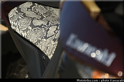 kawasaki_z1000_2010_0043.jpg