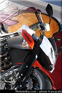 kawasaki_z1000_2010_0060.jpg
