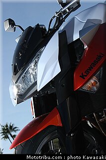 kawasaki_z1000_2010_0066.jpg