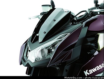 kawasaki_z1000_2010_0088.jpg