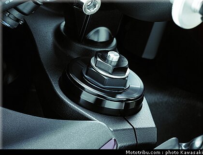 kawasaki_z1000_2010_0111.jpg