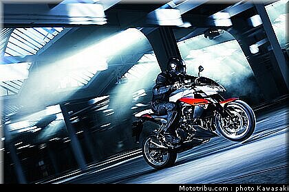 kawasaki_z1000_2010_0003.jpg
