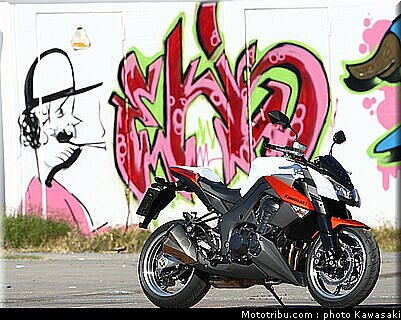 kawasaki_z1000_2010_0016.jpg