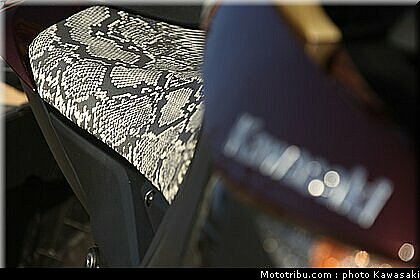 kawasaki_z1000_2010_0041.jpg