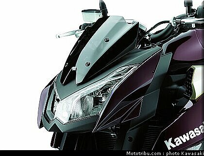 kawasaki_z1000_2010_0069.jpg