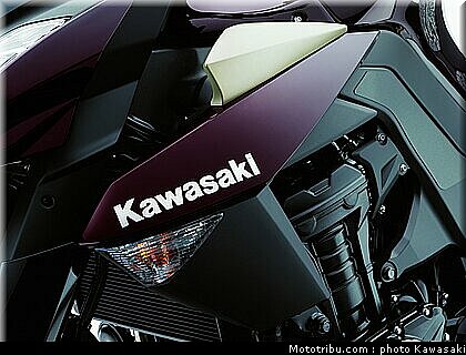 kawasaki_z1000_2010_0073.jpg