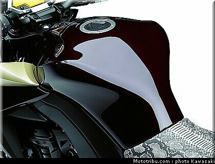 kawasaki_z1000_2010_0076.jpg
