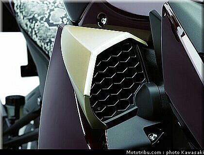 kawasaki_z1000_2010_0078.jpg