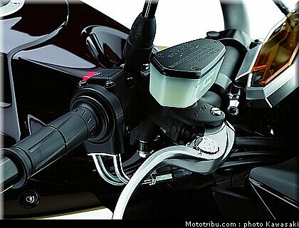 kawasaki_z1000_2010_0080.jpg