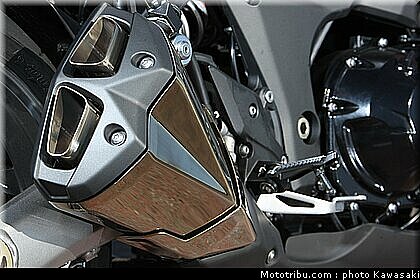 kawasaki_z1000_2010_0102.jpg
