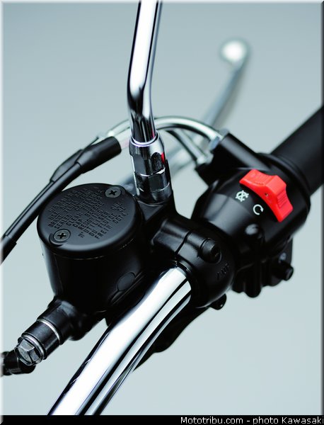 kawasaki_2012_w800_022