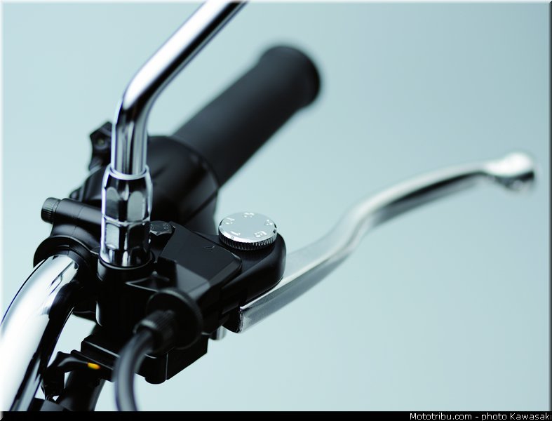 kawasaki_2012_w800_023