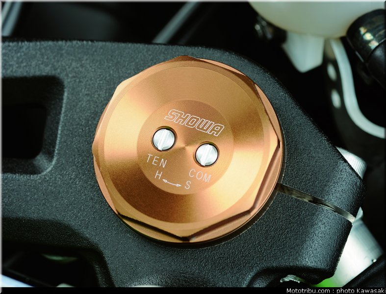 kawasaki_zx10r_2011_0058
