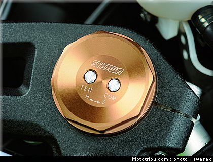 kawasaki_zx10r_2011_0058.jpg