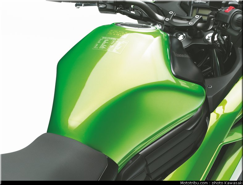 kawasaki_2012_er6f_032