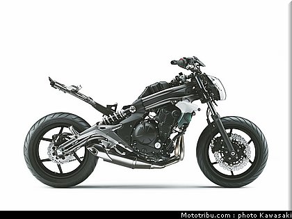 kawasaki_2012_er6n_066.jpg