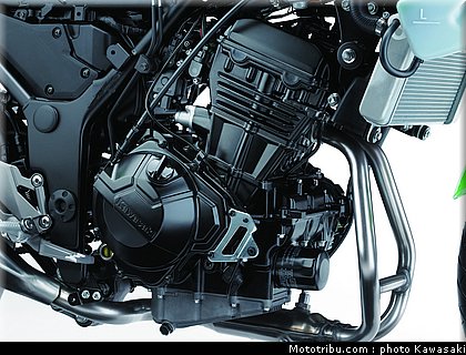 kawasaki_2013_ninja_300_28.jpg