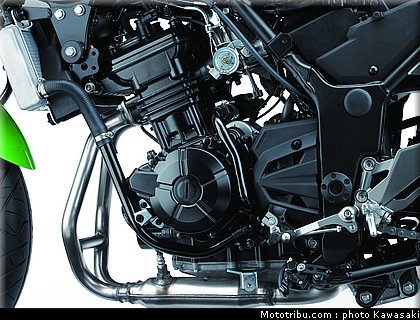 kawasaki_2013_ninja_300_29.jpg