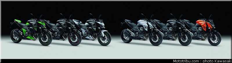 kawasaki_2013_z800_021