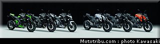 kawasaki_2013_z800_021.jpg