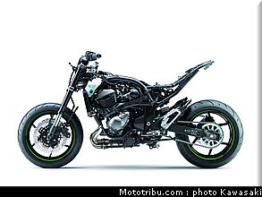 kawasaki_2013_z800_073.jpg