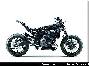 kawasaki_2013_z800_074.jpg