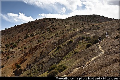 ktm_2012_freeride_350_0020.jpg