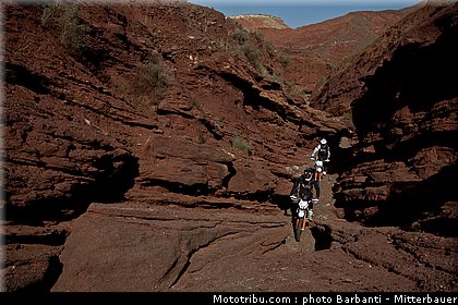 ktm_2012_freeride_350_0036.jpg
